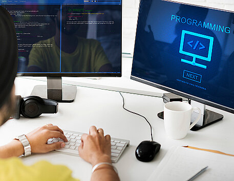 Custom Web Portal Development