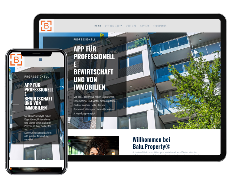 Balu Property Website Tab and Mobile