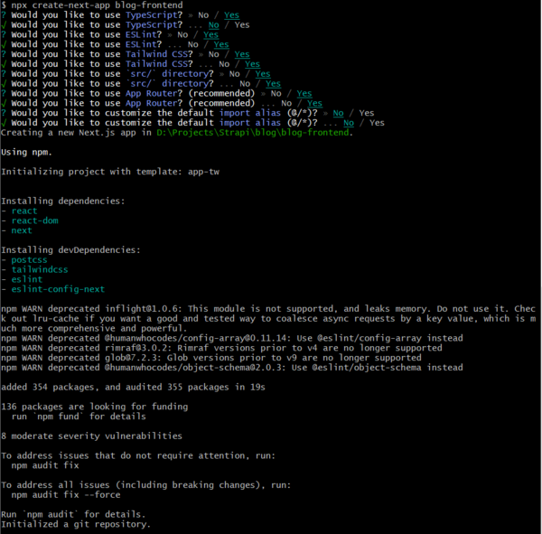 Connect Next.js to Fetch and Display Content