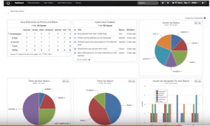 dashboard graphics and reports.