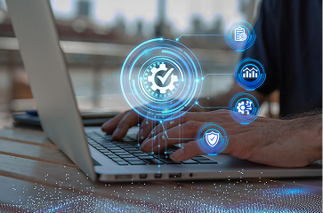 CMS & Portals