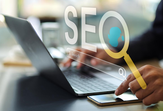 Search Engine Optimization (SEO Services) 