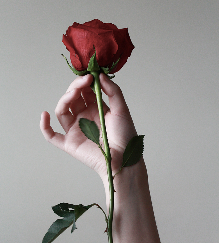 bachelor_3_